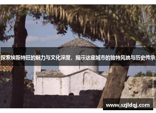 探索埃斯特旺的魅力与文化深度，揭示这座城市的独特风貌与历史传承